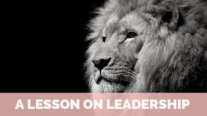 Lesson on Leadership